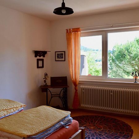 Ferienwohnung Ruth Neustadt an der Weinstraße 外观 照片